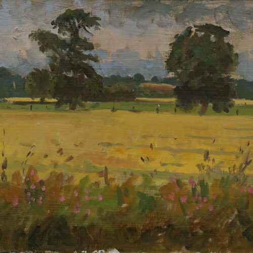 Original Oil Painting -Yellow Fields